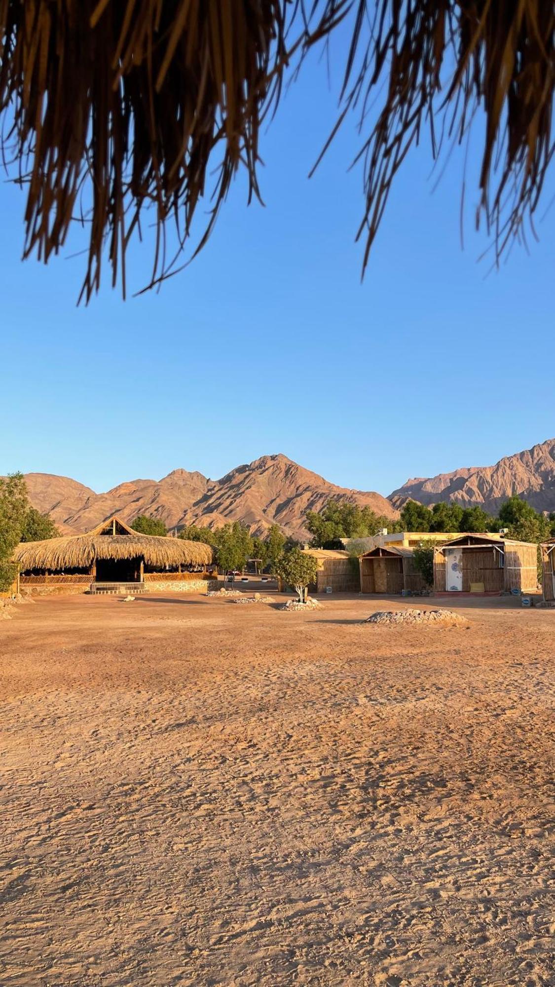 Alwaha Camp Hotel Nuweiba Exterior photo