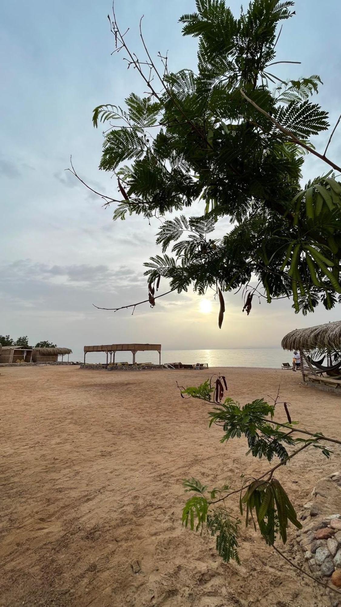 Alwaha Camp Hotel Nuweiba Exterior photo